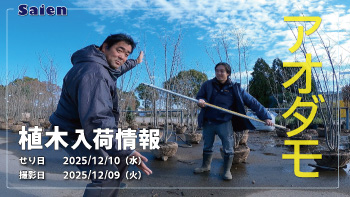 植木売場20251209