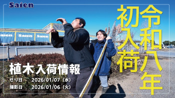 植木売場20260106