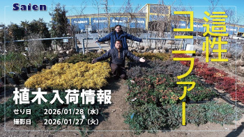 植木売場20260127