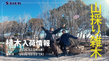 植木売場20260203