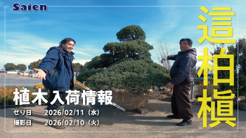 植木売場20260210