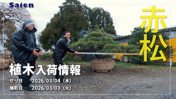 植木売場20260303