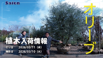 植木売場20260310