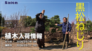 植木売場20260317