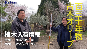 植木売場20260331