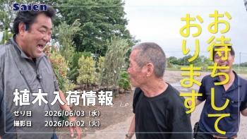 植木売場20260602