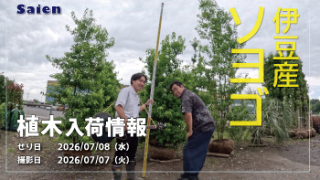 植木売場20260707
