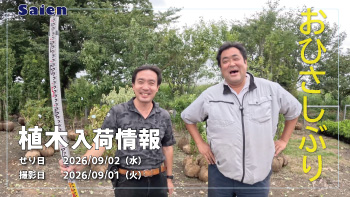 植木売場20260901