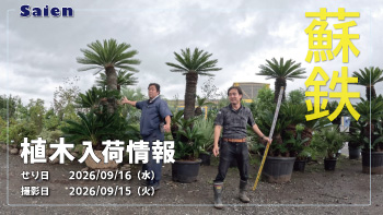 植木売場20260915
