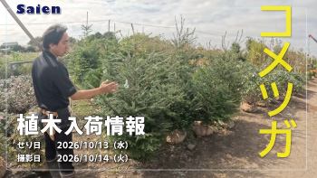 植木売場20261013